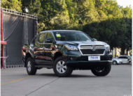 Dongfeng Car Rich 2023